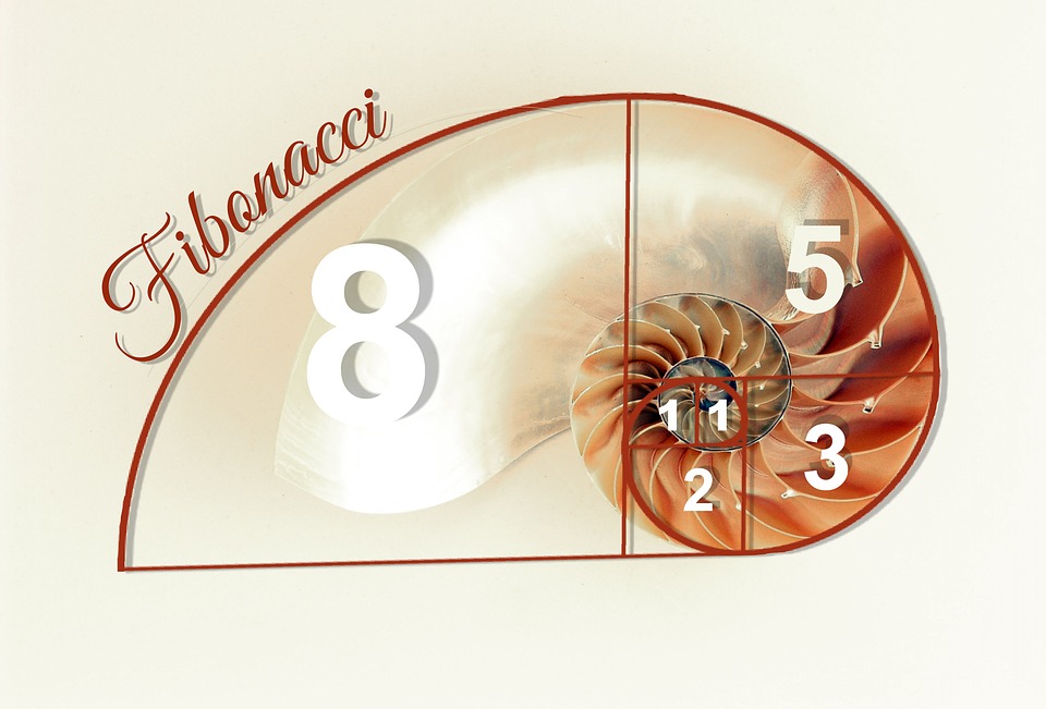 Fibonacciho posloupnost 