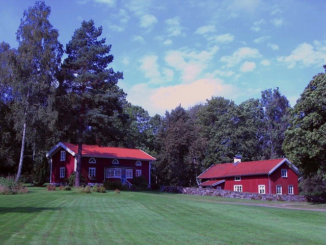 červené domy, zahraa, stromy