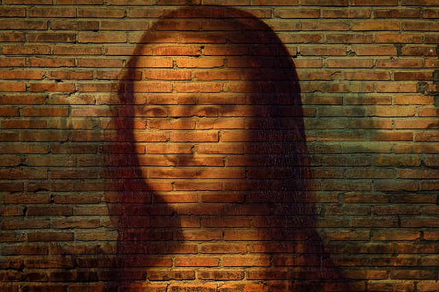 mona lisa na zdi